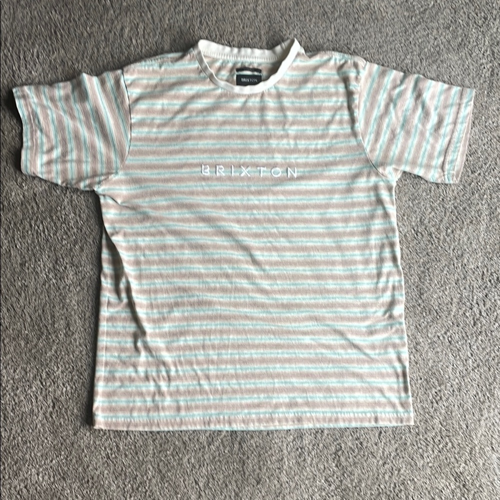 Brixton Mint & Tan Striped Crewneck Tee